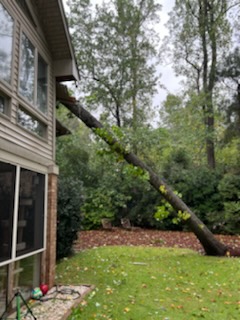 Storm damage assessment